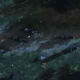 microtrailer.gif