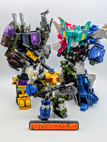 y16 (23)