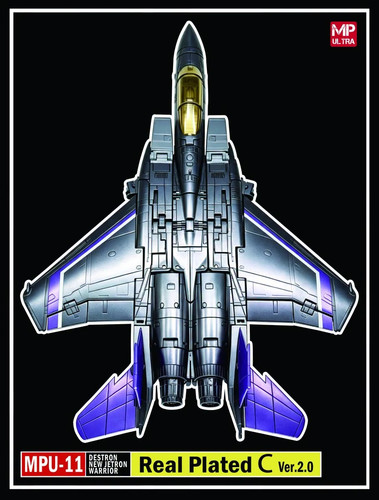 y21 (4)