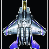 y21 (4)