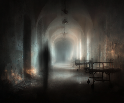 deb this asylum has 6 small rooms on the right sides and 6 sm fb80b745 31bb 4b42 a333 8ac15d974114 2.png
