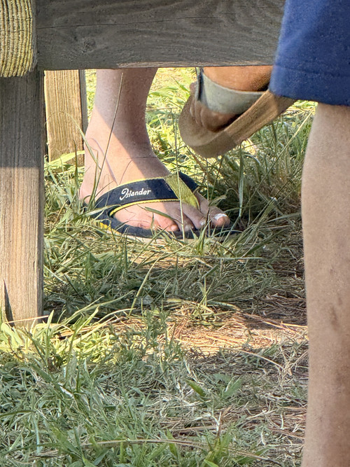 IMG 1839