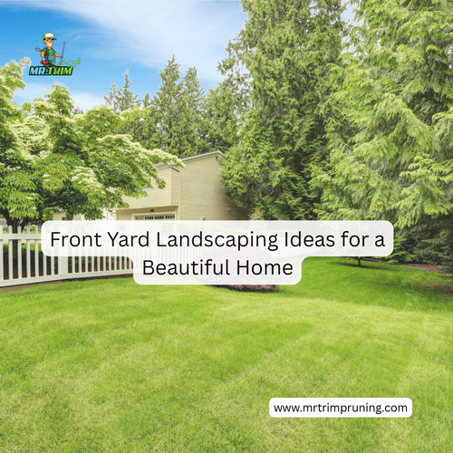 Simple Ways to Enhance Your Garden and Outdoor Space.jpg