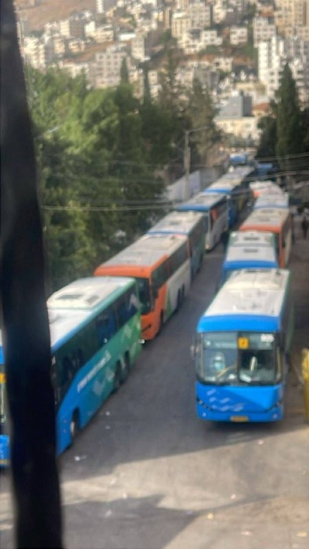 صورة الخبر