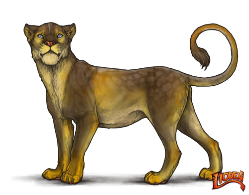 lioden wardrobe (1).png