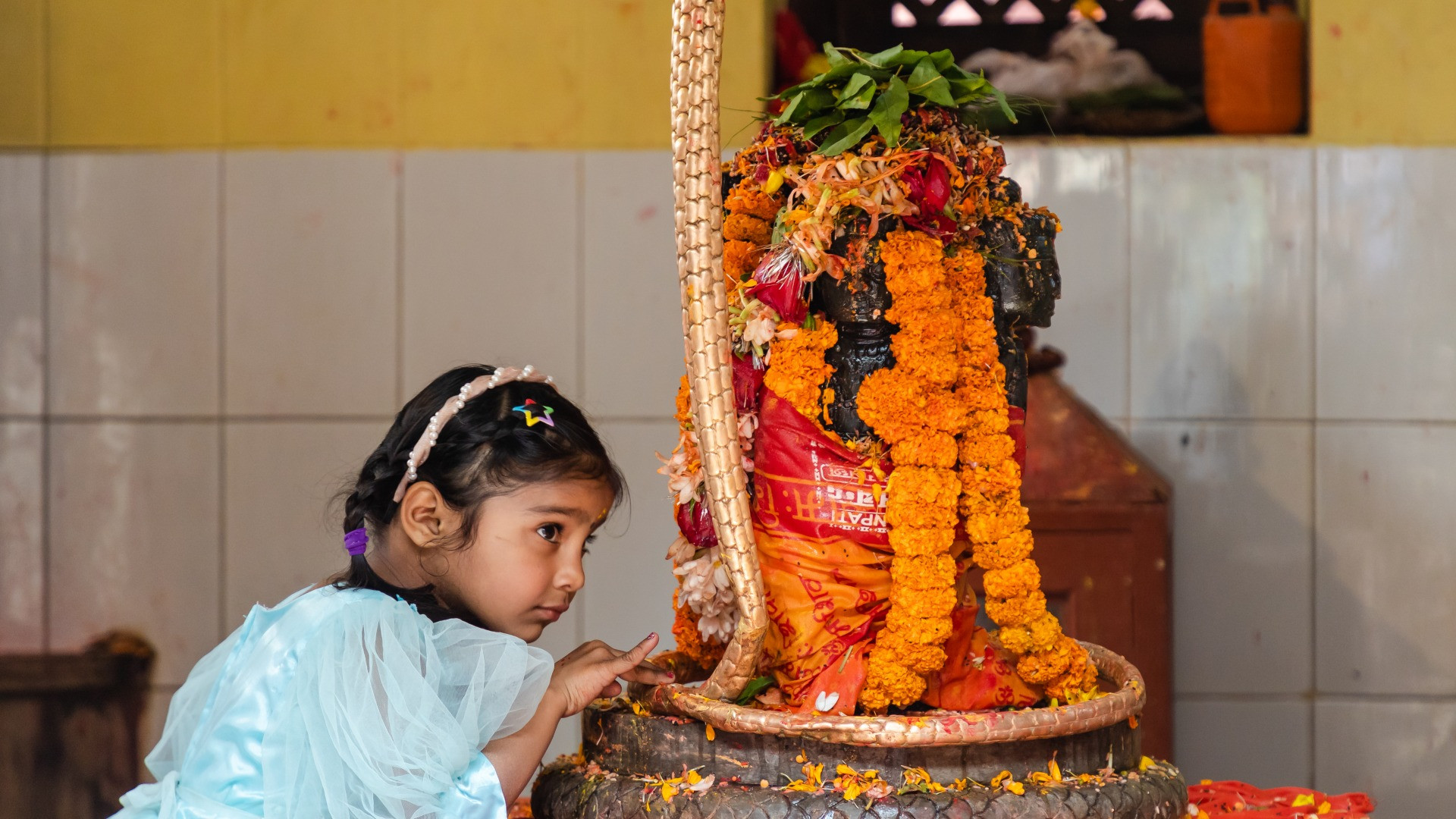 शिवलिंग जलाभिषेक एवं पूजन — तांबे व पीतल के पात्र से जल, कच्चा दूध, बेलपत्र, धतूरा एवं पुष्प अर्पण