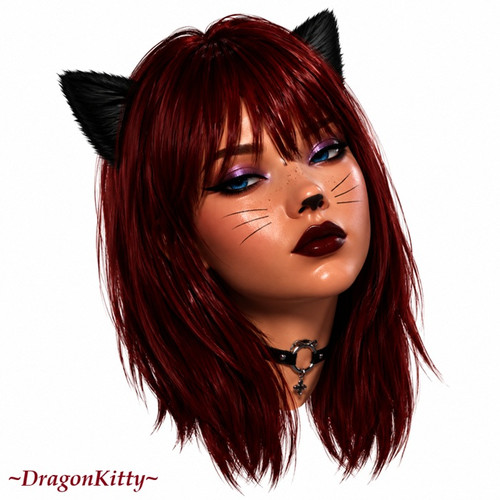 DK MEOW Copy.jpg