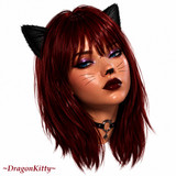 DK MEOW Copy