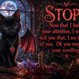 thinking of you dragonkitty