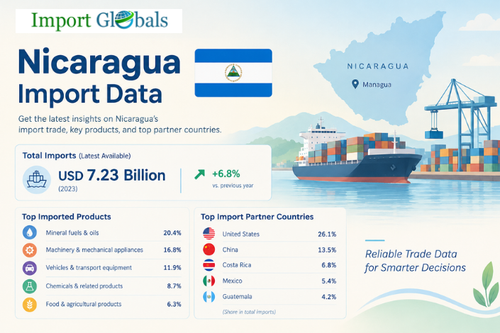 Nicaragua Import Data.png