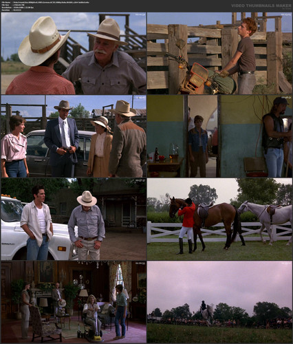 Mein.Freund.das.Wildpferd.1985.German.AC3D.1080p.Roku.WebDL.x264 bobbel.mkv.jpg