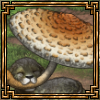 golden thumb.png