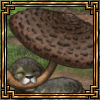 brown thumb.png