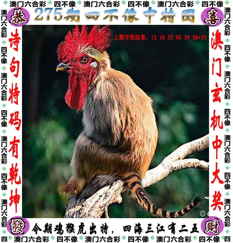 amsbx.jpg
