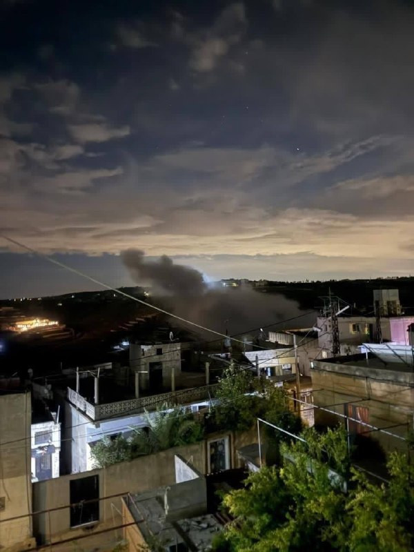 صورة الخبر