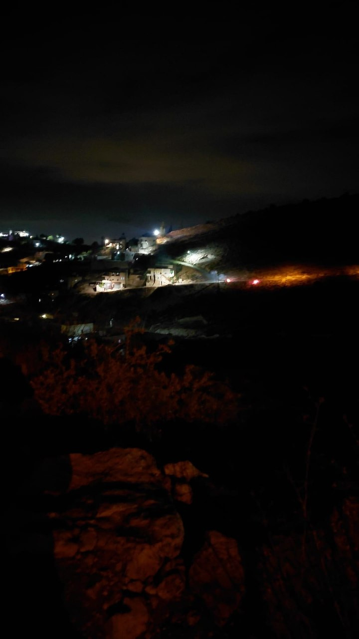 صورة الخبر