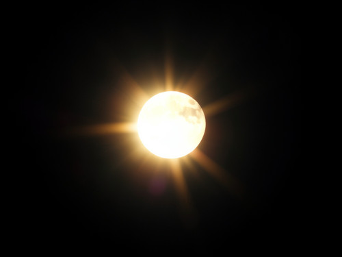 82dea6be 5992 4329 8f9f 292880e668f0.jpg