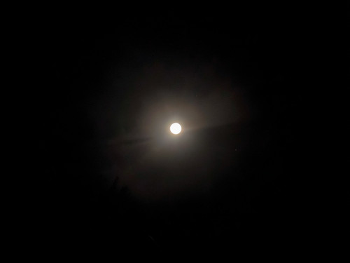 a8255e41 f351 421e 88c2 60ca1e58ca27.jpg