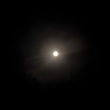 a8255e41 f351 421e 88c2 60ca1e58ca27