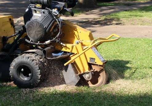 Best service for Stump Grinding in Stanmore Bay.jpg