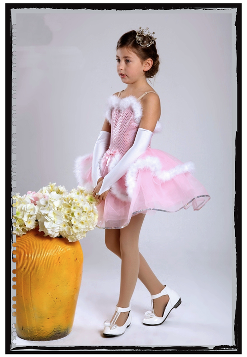 IMG 004487.png