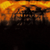 frame 036 delay 0.07s