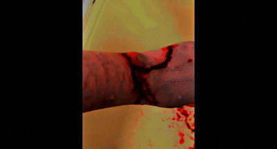 frame 110 delay 0.07s.2
