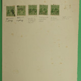 DSC00976