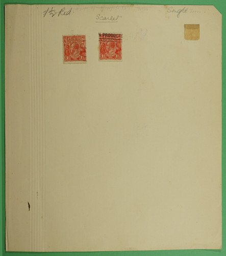 DSC00969.1