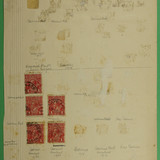 DSC00970