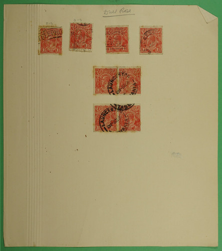 DSC00964.1