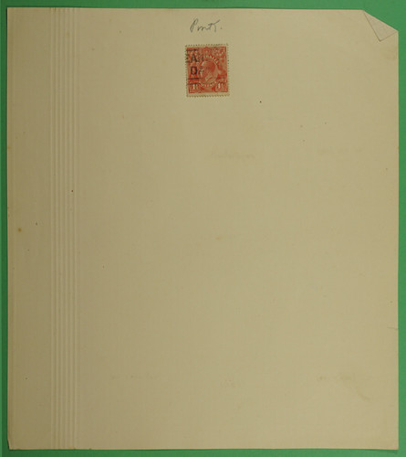 DSC00965.1