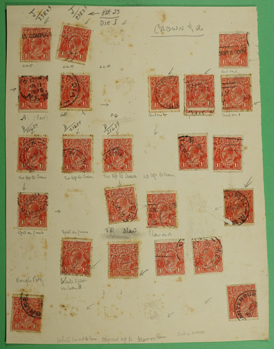 DSC00974.1