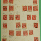 DSC00974