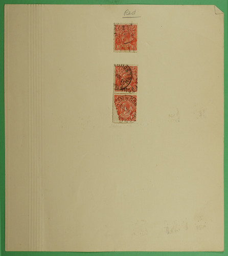 DSC00967.1
