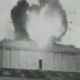frame 10 delay 0.04s