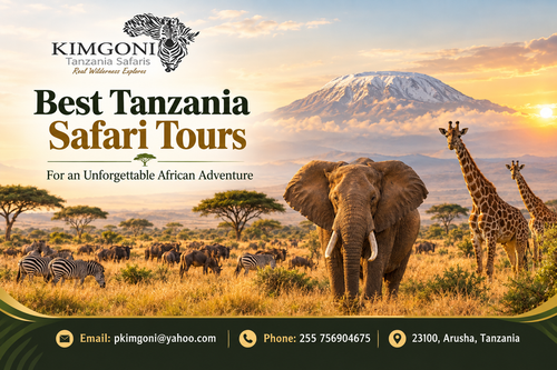 Best Tanzania Safari Tours for an Unforgettable African Adventure.png
