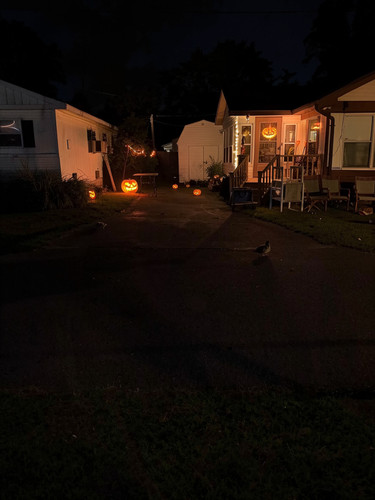 BIRD ON RD.jpg