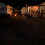 BIRD ON RD