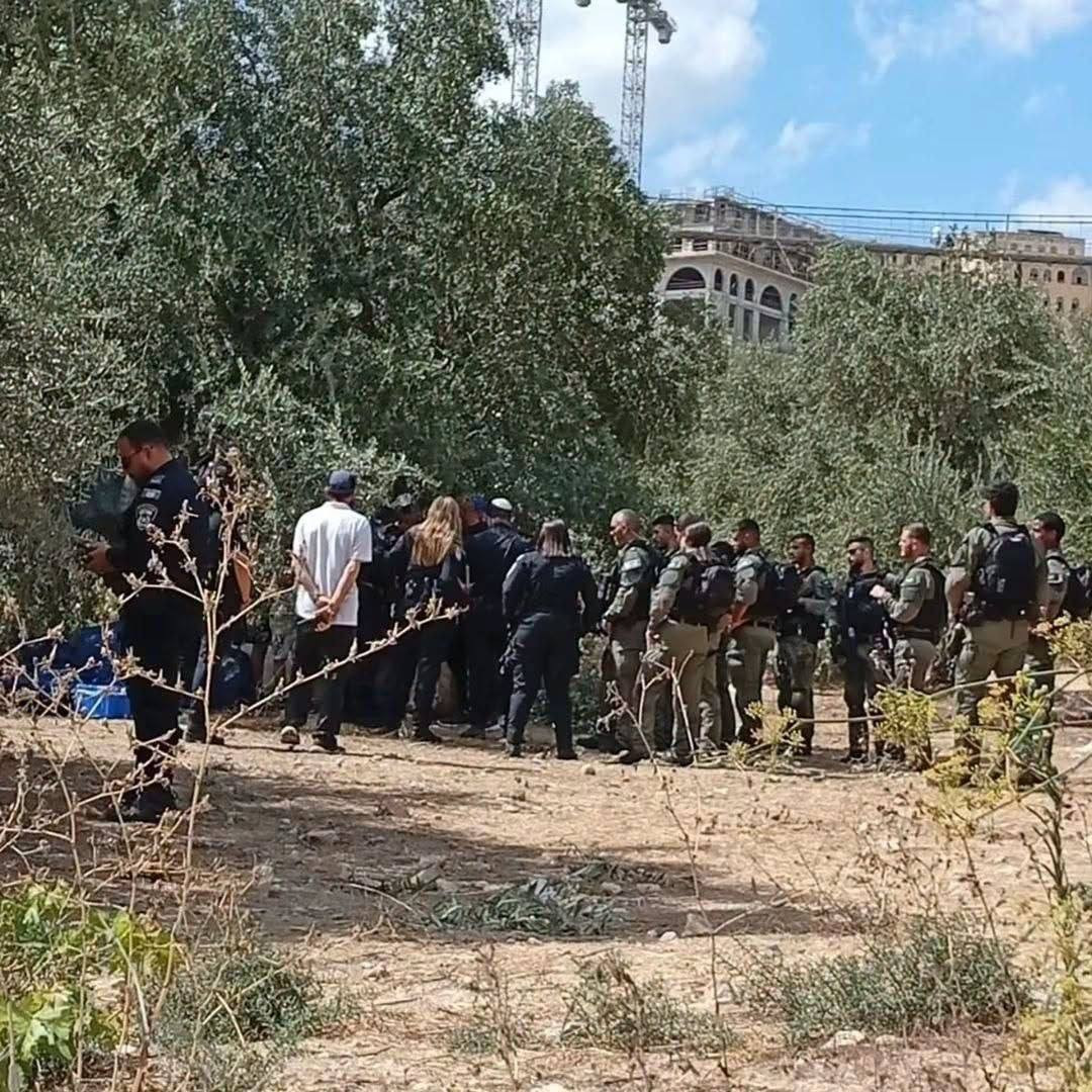 صورة الخبر