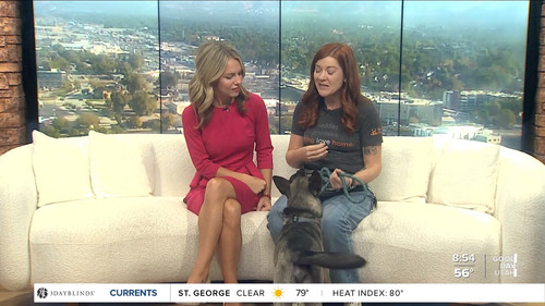 09.14 16.00.00 FOX13 News Good Day Utah 9AM ᴺᵉʷ. Utah news, wea....ts snapshot 00.04.33.560