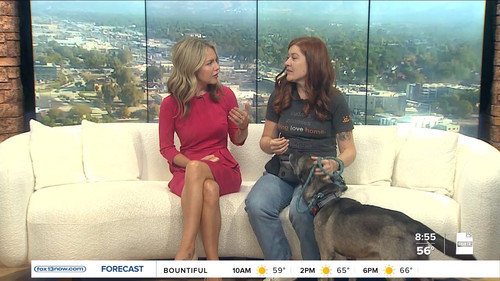 09.14 16.00.00 FOX13 News Good Day Utah 9AM ᴺᵉʷ. Utah news, wea....ts snapshot 00.05.16.407