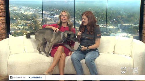 09.14 16.00.00 FOX13 News Good Day Utah 9AM ᴺᵉʷ. Utah news, wea....ts snapshot 00.03.54.009