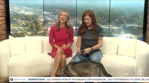 09.14 16.00.00 FOX13 News Good Day Utah 9AM ᴺᵉʷ. Utah news, wea....ts snapshot 00.03.34.234