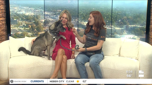 09.14 16.00.00 FOX13 News Good Day Utah 9AM ᴺᵉʷ. Utah news, wea....ts snapshot 00.03.57.305