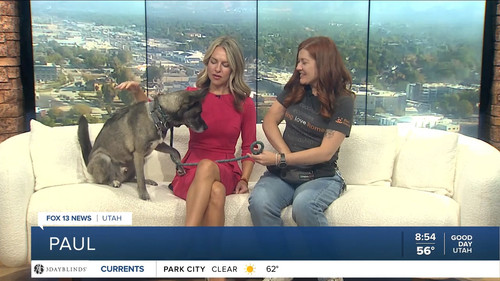 09.14 16.00.00 FOX13 News Good Day Utah 9AM ᴺᵉʷ. Utah news, wea....ts snapshot 00.04.10.489