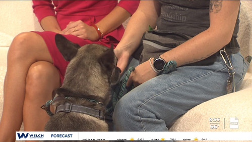 09.14 16.00.00 FOX13 News Good Day Utah 9AM ᴺᵉʷ. Utah news, wea....ts snapshot 00.05.26.295