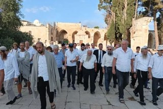 صورة الخبر