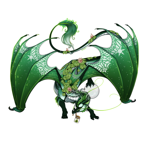 IMG 2177.png