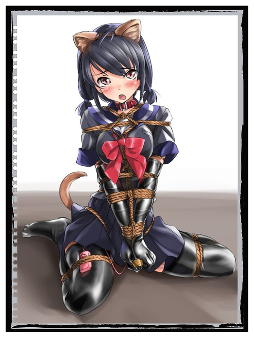 IMG 0167167.png